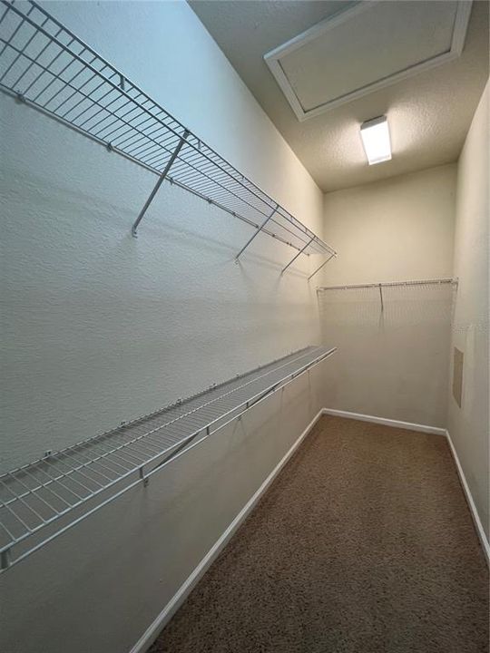 Primary Walk-In Closet