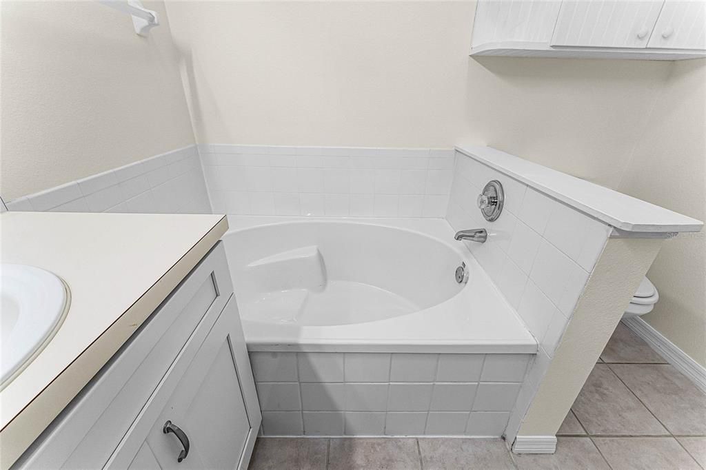 Master Bathroom Tub