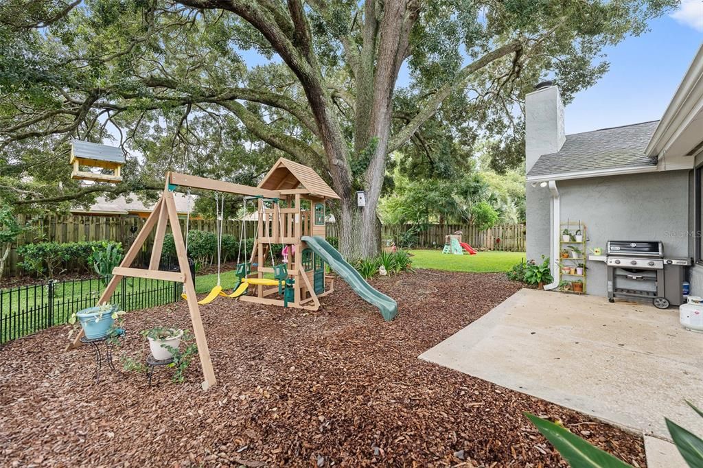 Fully fenced and landscaped yard