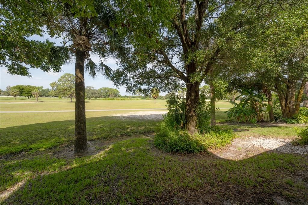 View from screened lanai (all golf course view)