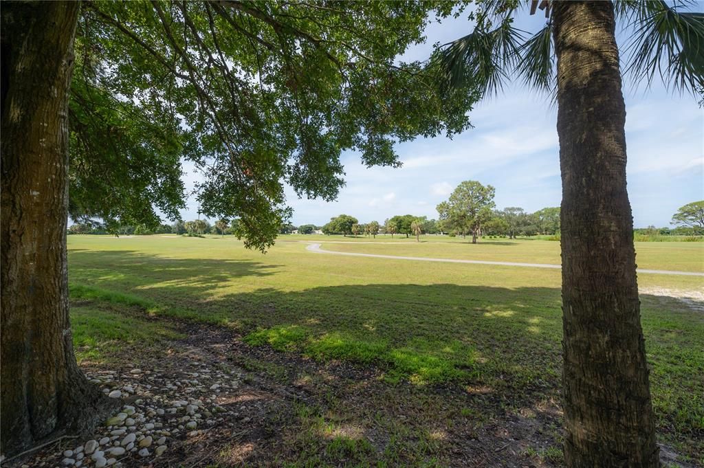 View from screened lanai (all golf course view)