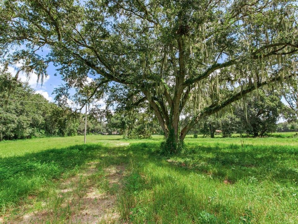 For Sale: $550,000 (4.49 acres)