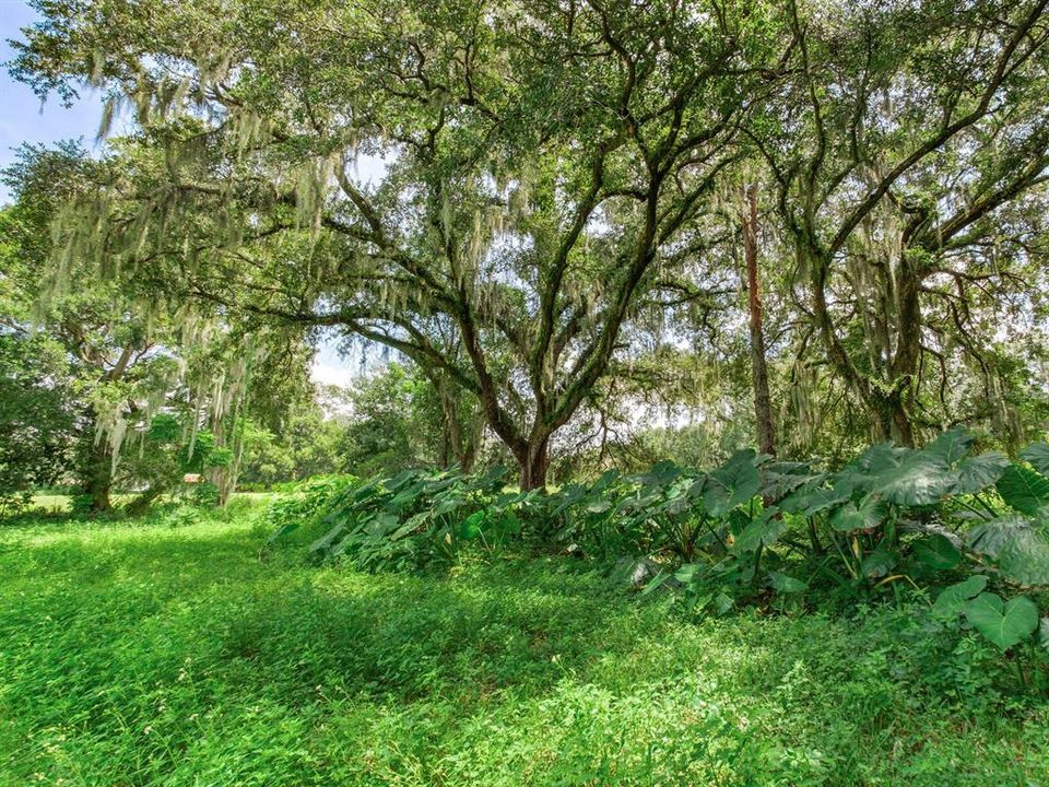 На продажу: $550,000 (4.49 acres)