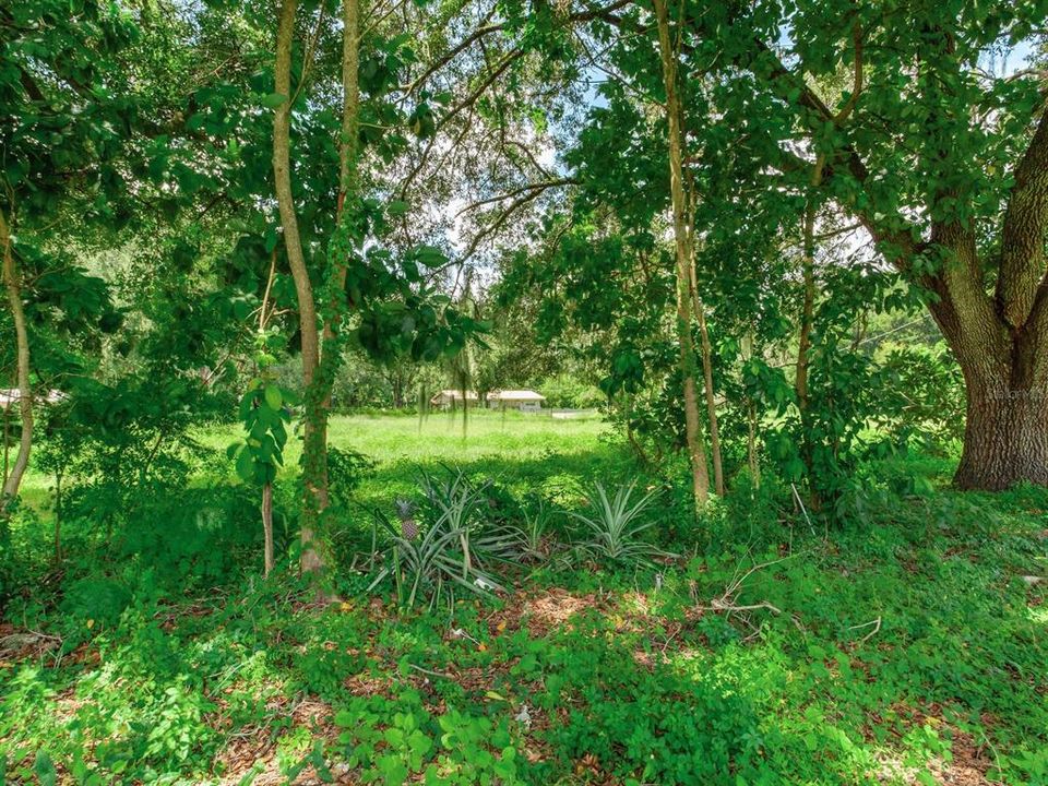 En Venta: $550,000 (4.49 acres)