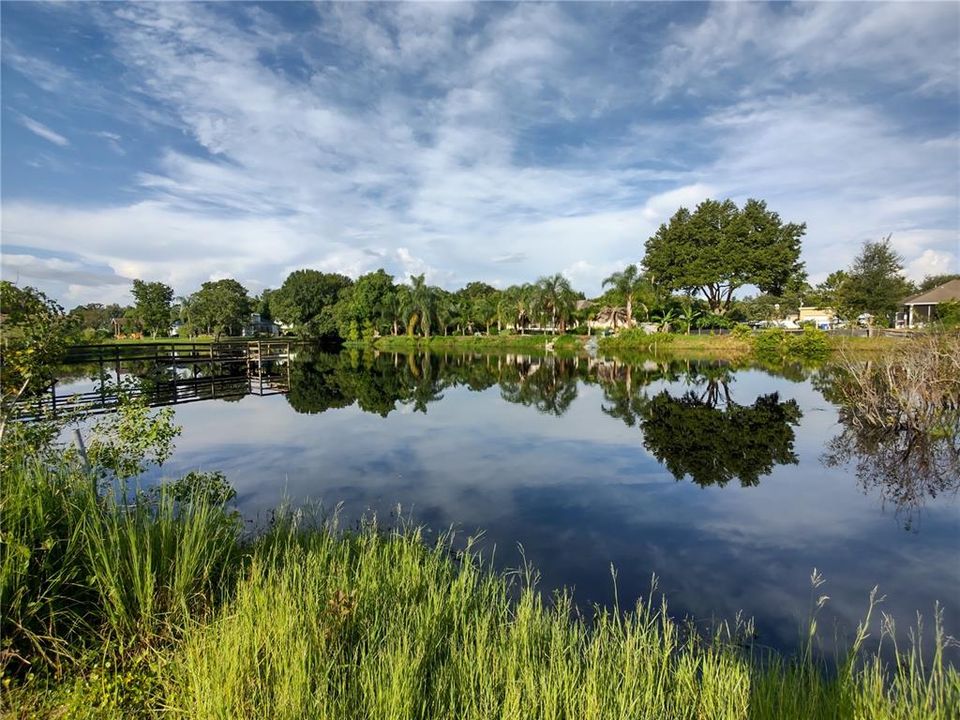 Pond Facing South