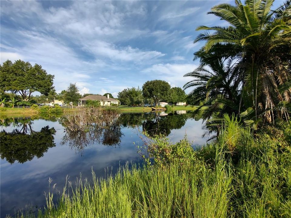 Pond Facing North