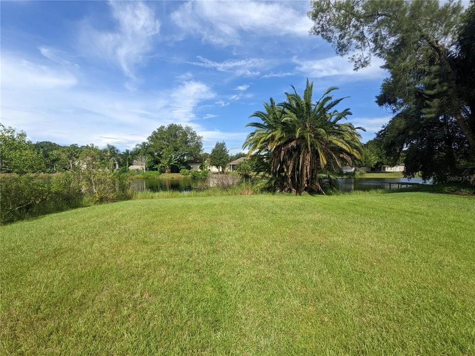 Back yard - Toward Pond