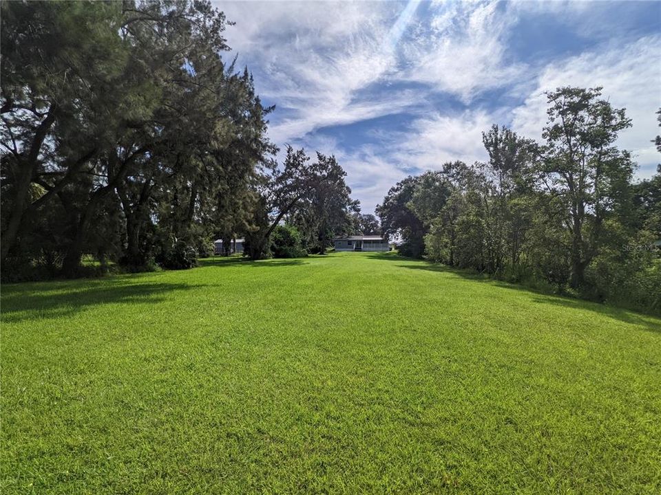 Back Yard - Toward House