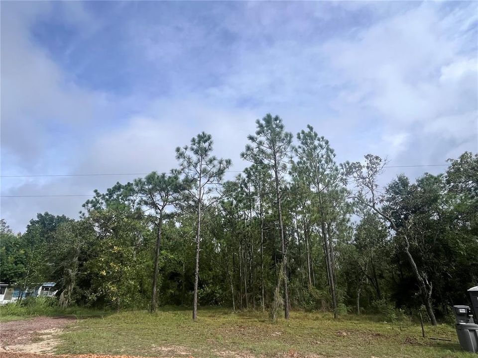 En Venta: $20,000 (0.69 acres)