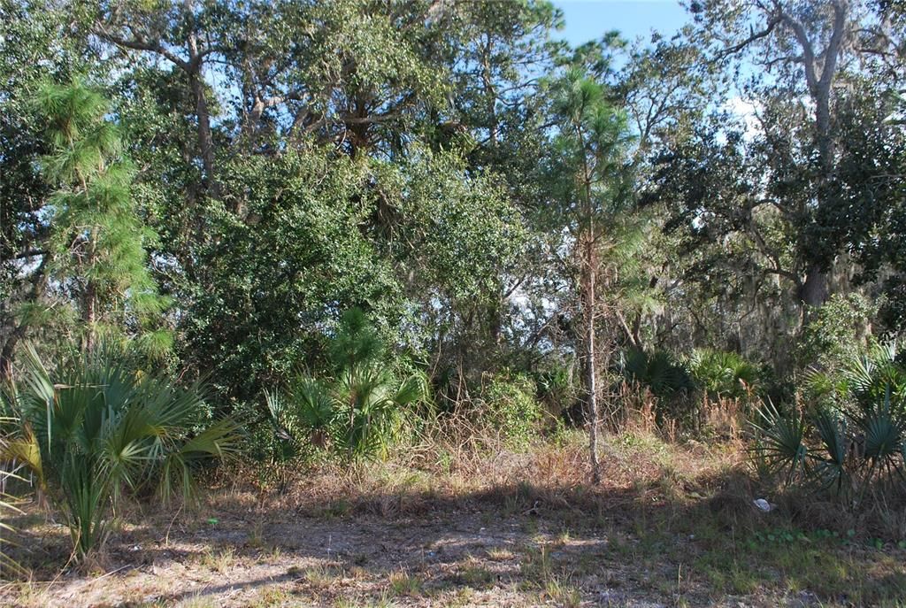 En Venta: $190,000 (1.17 acres)