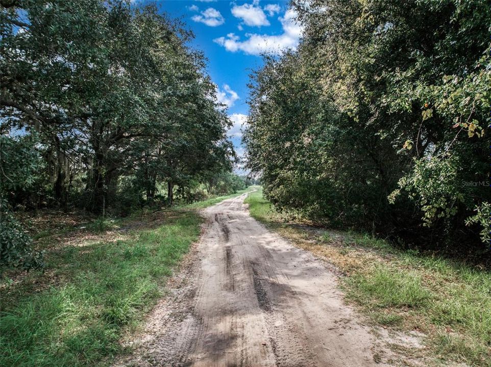 На продажу: $15,900 (1.14 acres)