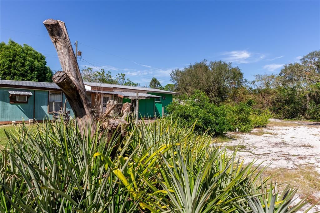 KEY LIME GROVE AND BACK YARD