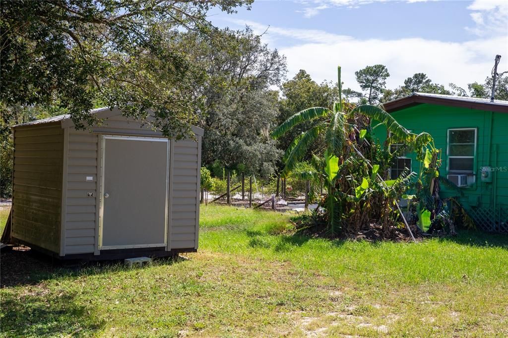 UNIT 1 STORAGE AND BANANA TREE