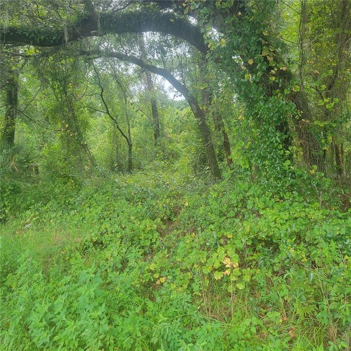 En Venta: $200,000 (2.40 acres)