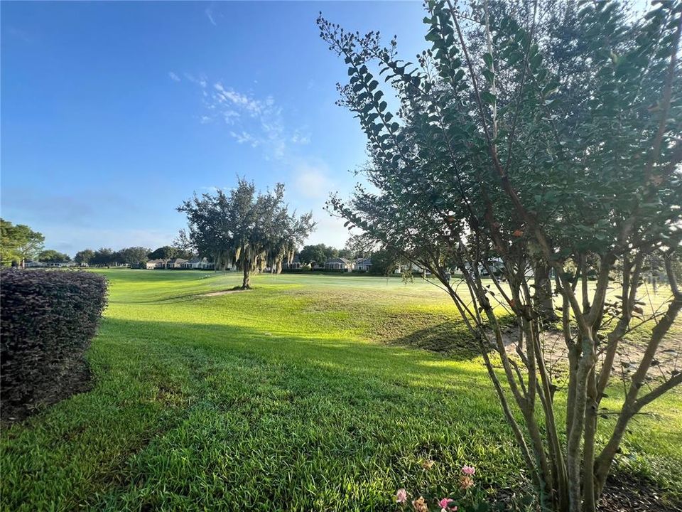 Golf Course view