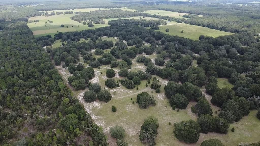 For Sale: $720,000 (40.00 acres)