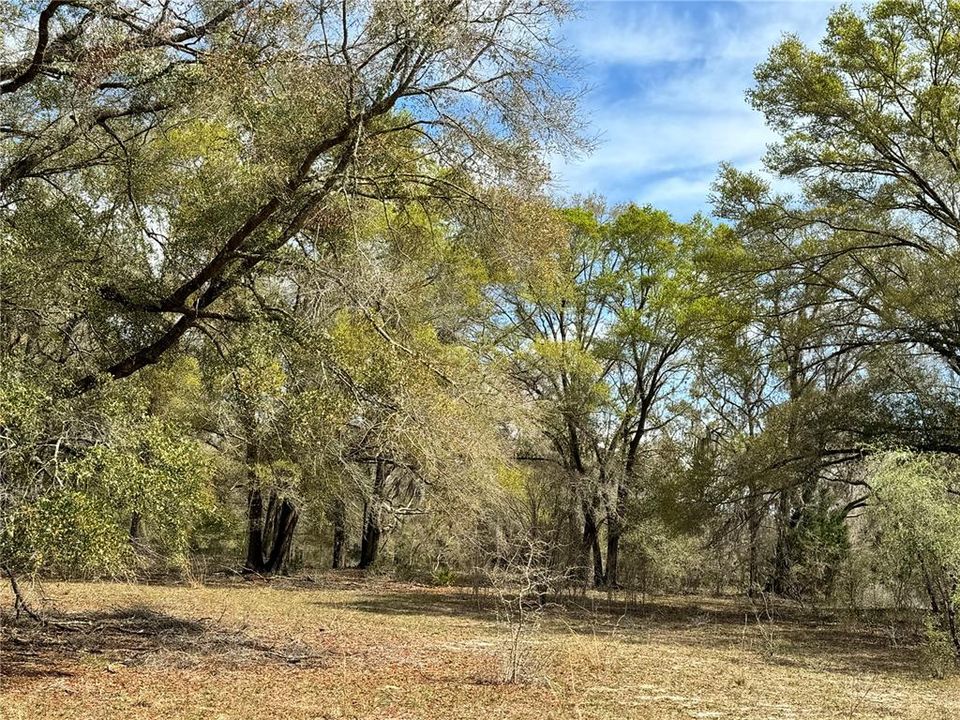 На продажу: $720,000 (40.00 acres)