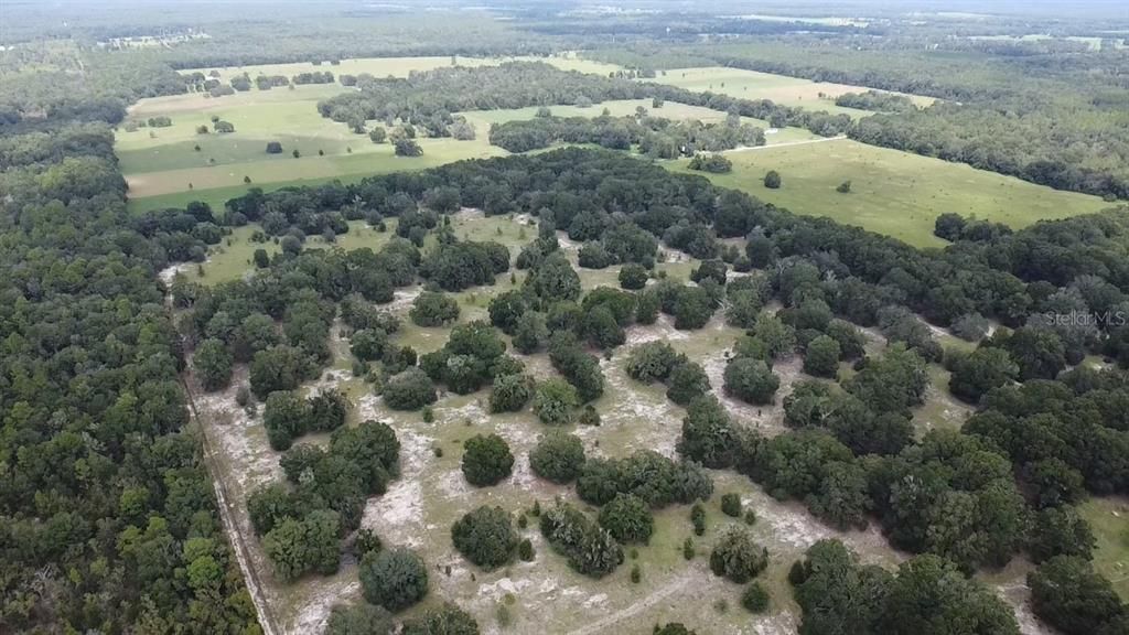 For Sale: $720,000 (40.00 acres)