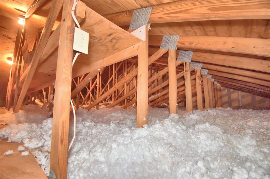 Extra large Attic for storage!