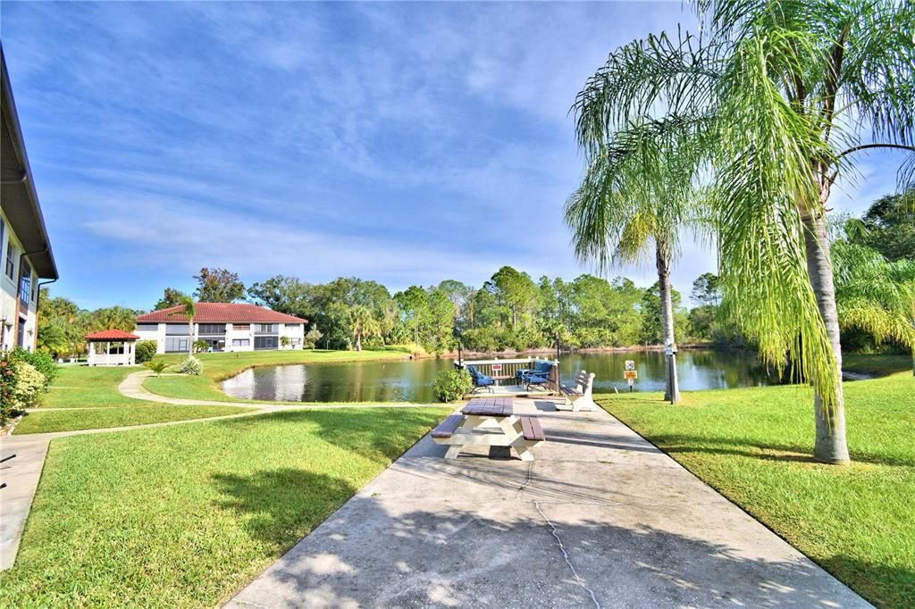 View of the pond.