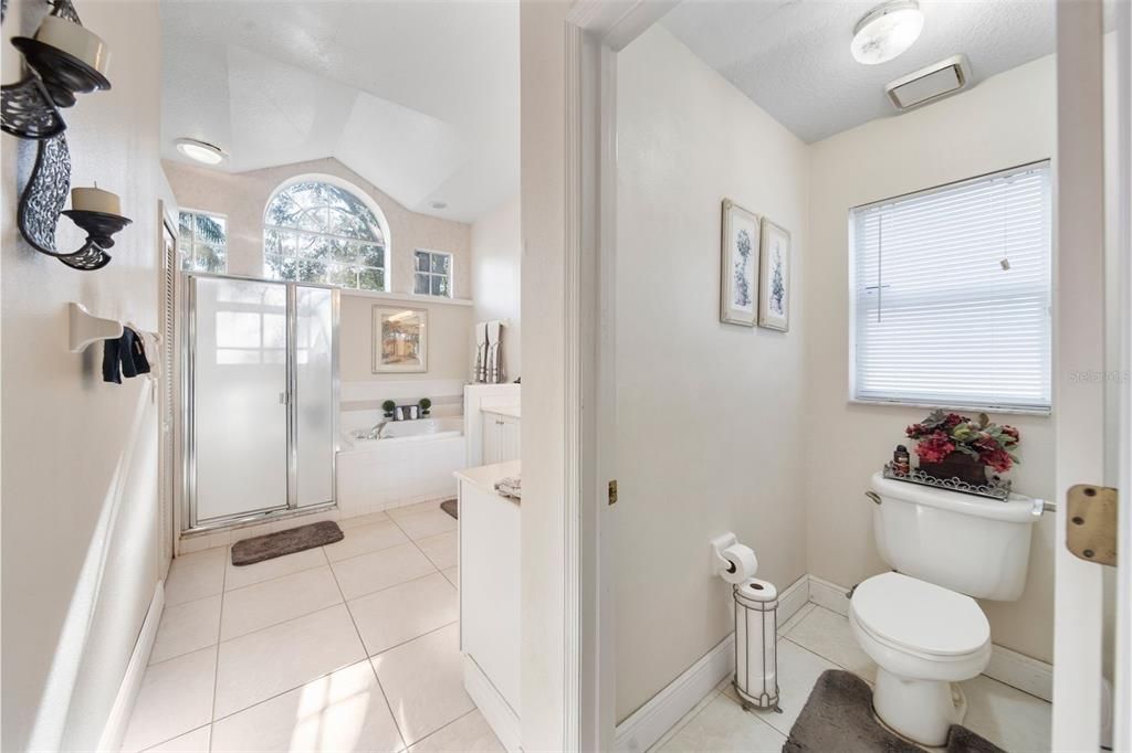 Master Bathroom with separate toilet space