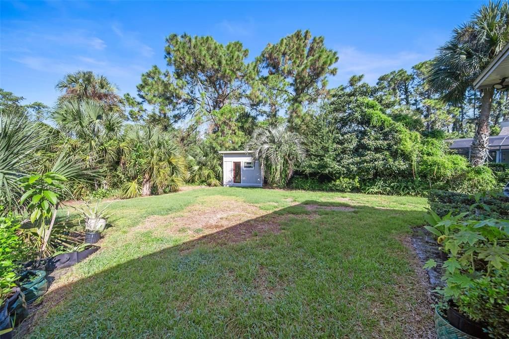 Backyard with Shed