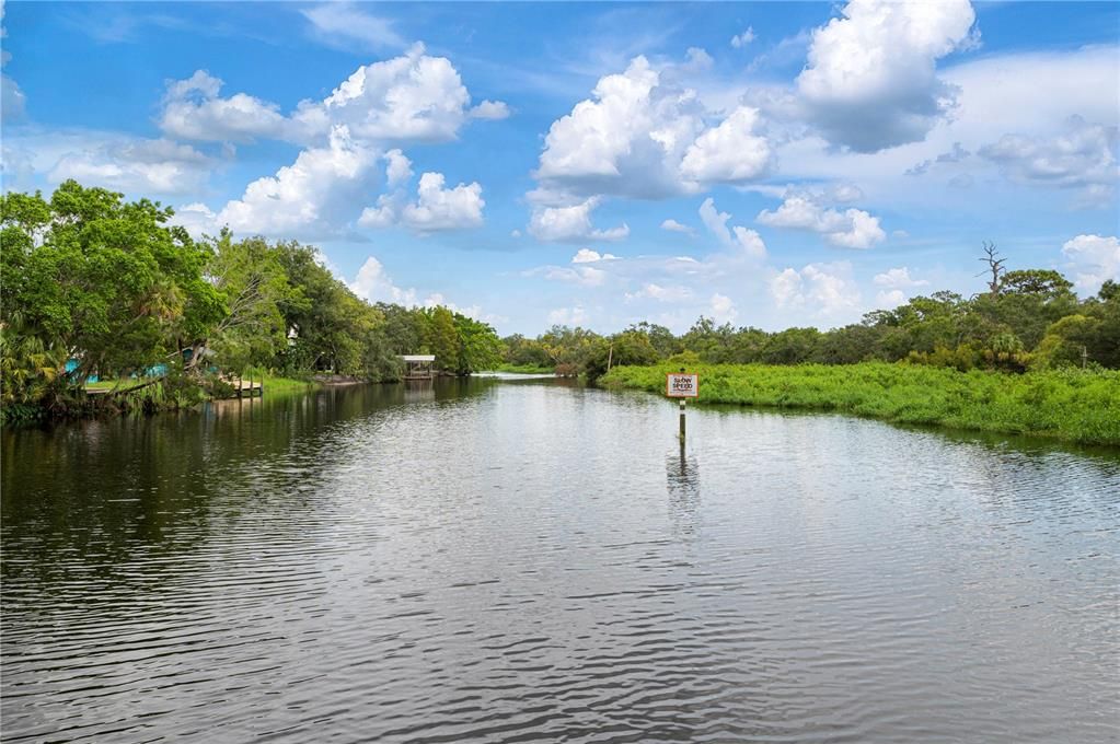 Drone view of Braden River looking nouth