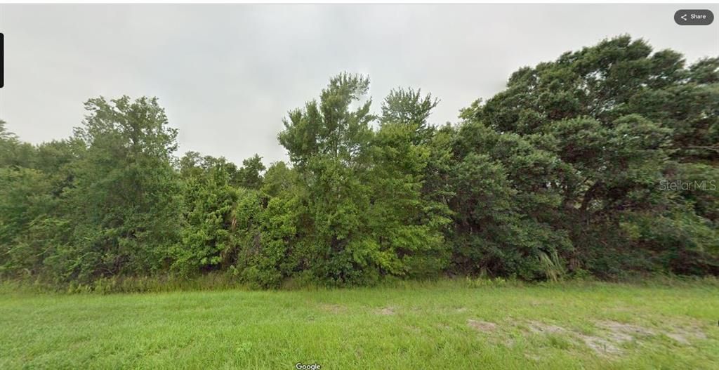 For Sale: $29,000 (0.33 acres)
