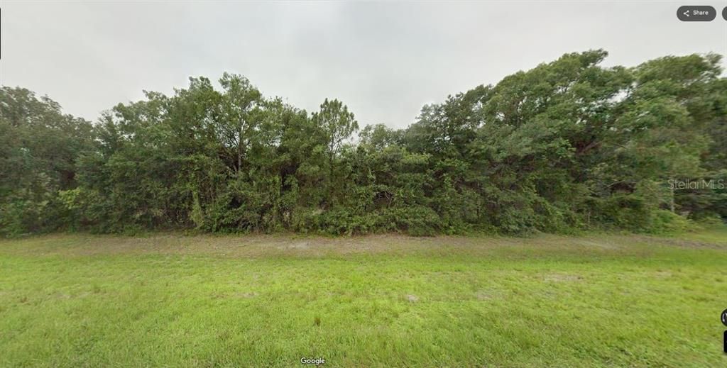For Sale: $29,000 (0.34 acres)