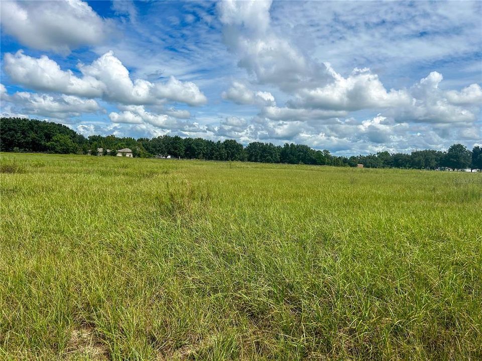 For Sale: $375,000 (4.50 acres)