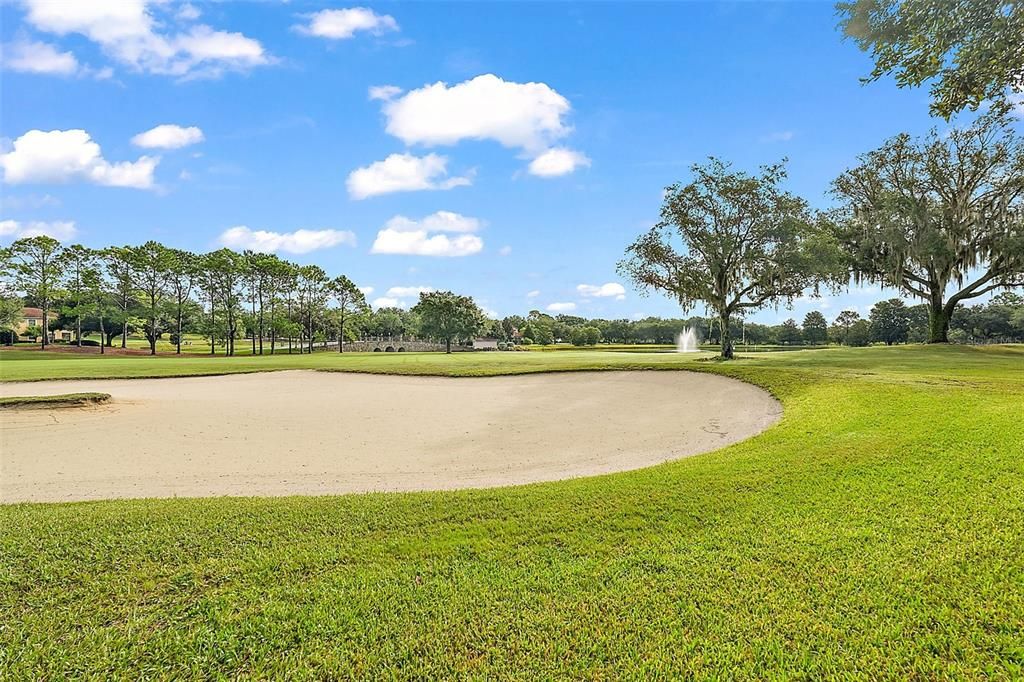 Golf Course View