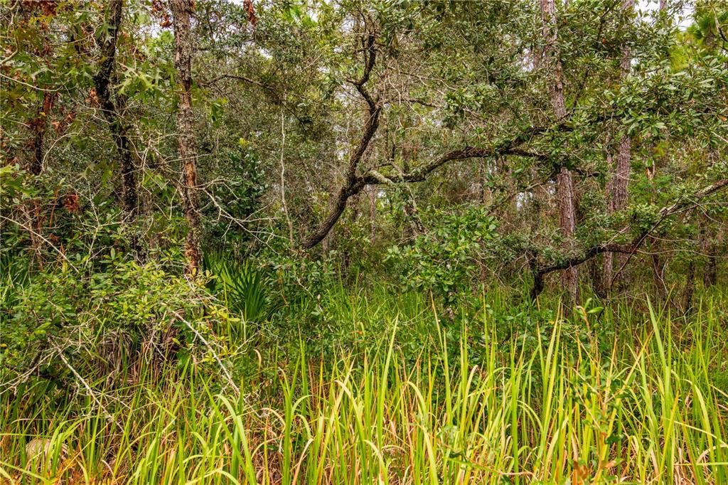 На продажу: $49,997 (0.77 acres)