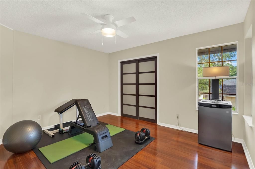 Guest Bedroom, Gym