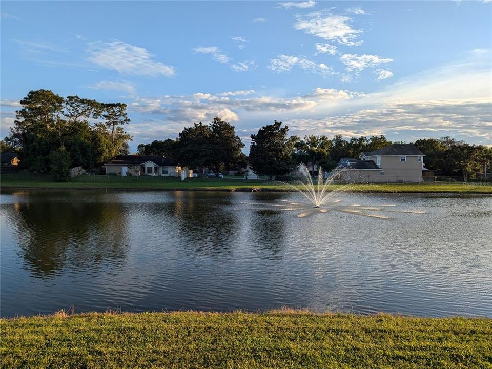 Community Pond on Ceneter Drive