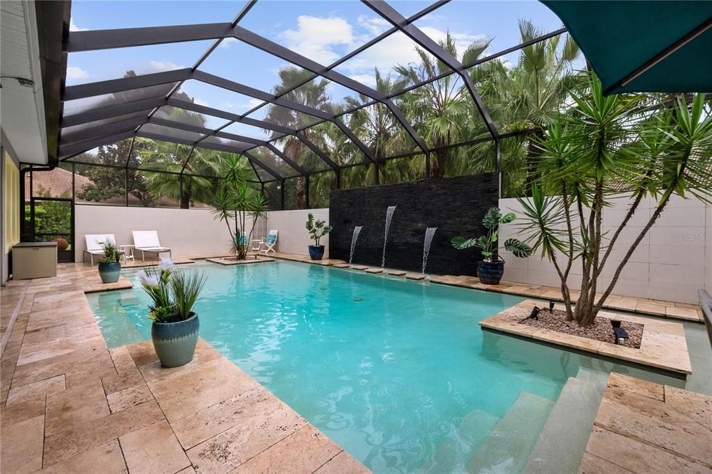 Palm Trees Surround Pool for Privacy