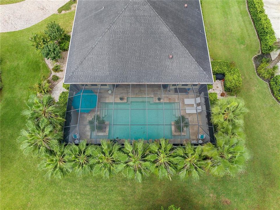 Aerial View of Pool & Palm Trees