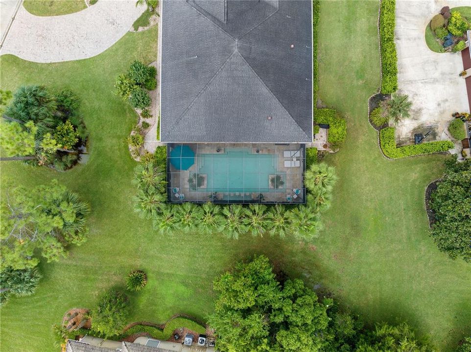 Aerial View of Backyard w/Plenty of Palms Trees