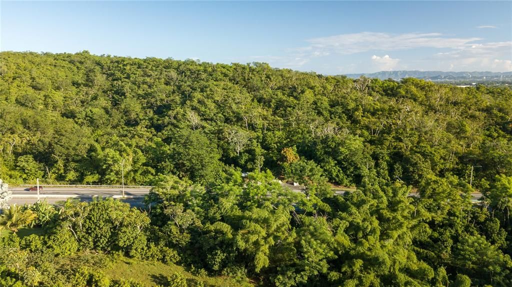 На продажу: $2,000,000 (54.01 acres)