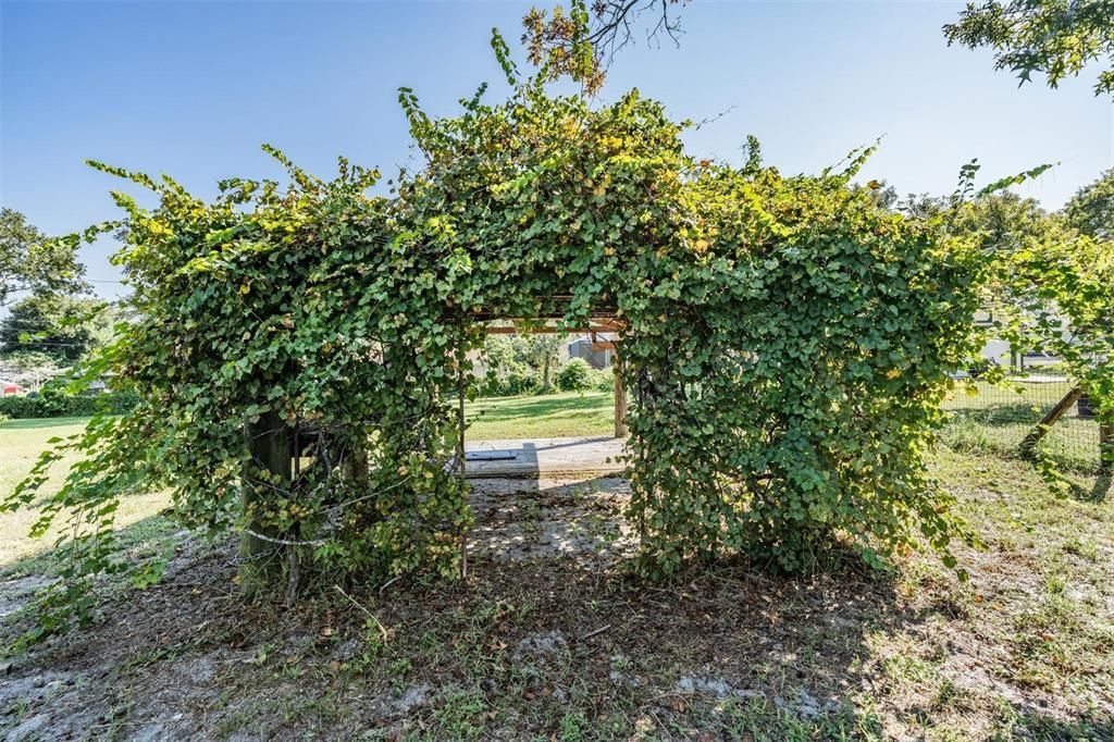 Garden Arch