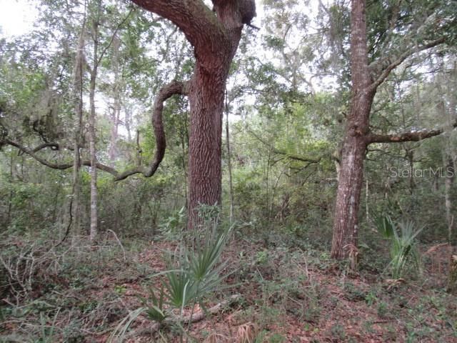 На продажу: $35,000 (0.90 acres)