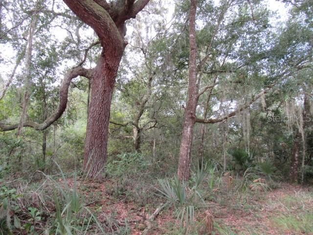 На продажу: $35,000 (0.90 acres)