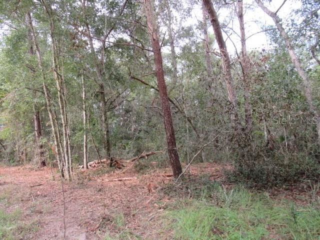 En Venta: $35,000 (0.90 acres)