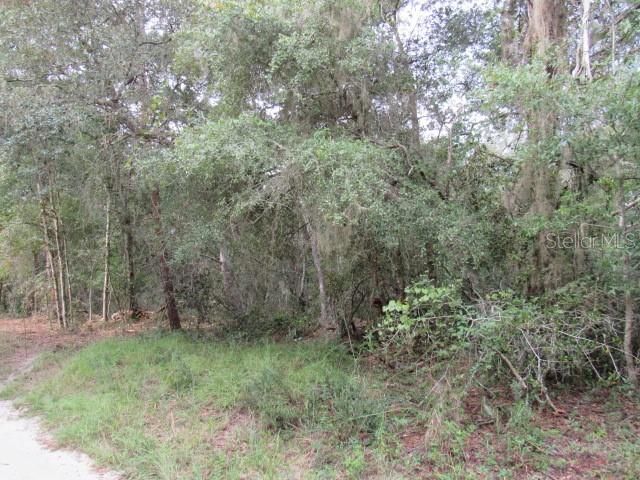 En Venta: $35,000 (0.90 acres)