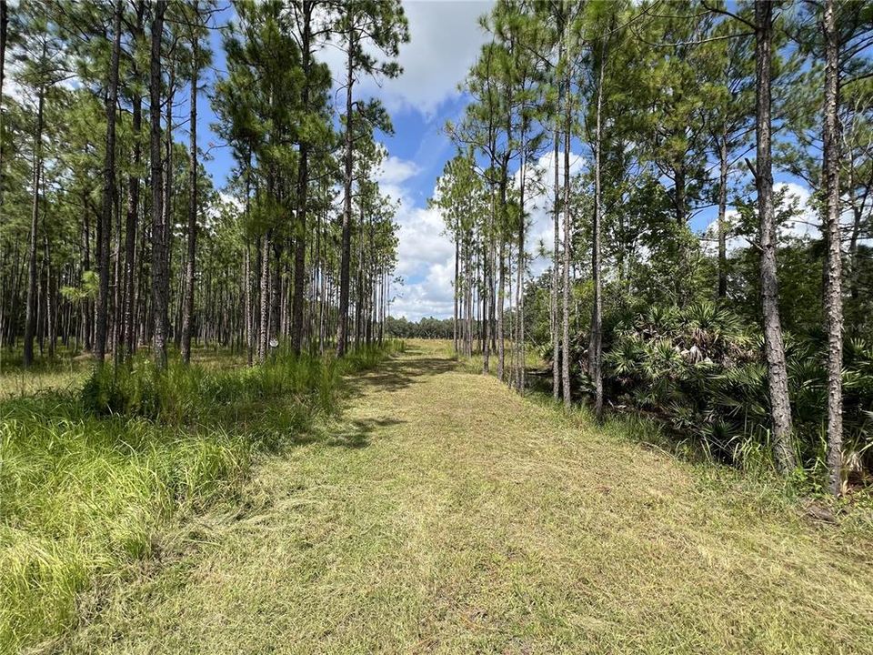 For Sale: $349,999 (4.16 acres)