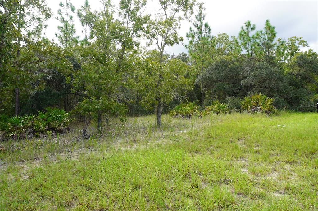 En Venta: $23,900 (0.32 acres)