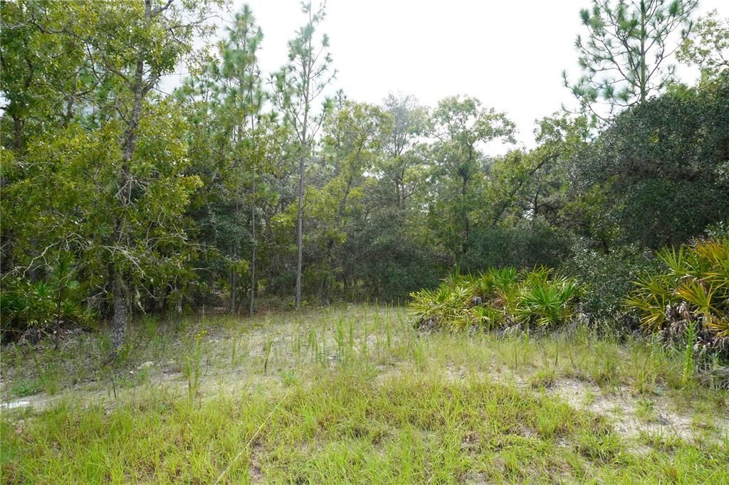 En Venta: $23,900 (0.32 acres)