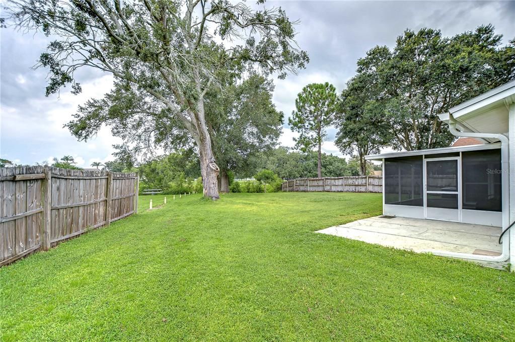 Backyard with Patio