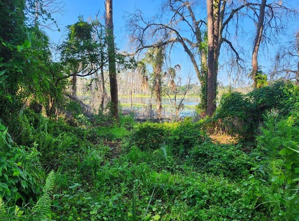 Parcel view towards lake