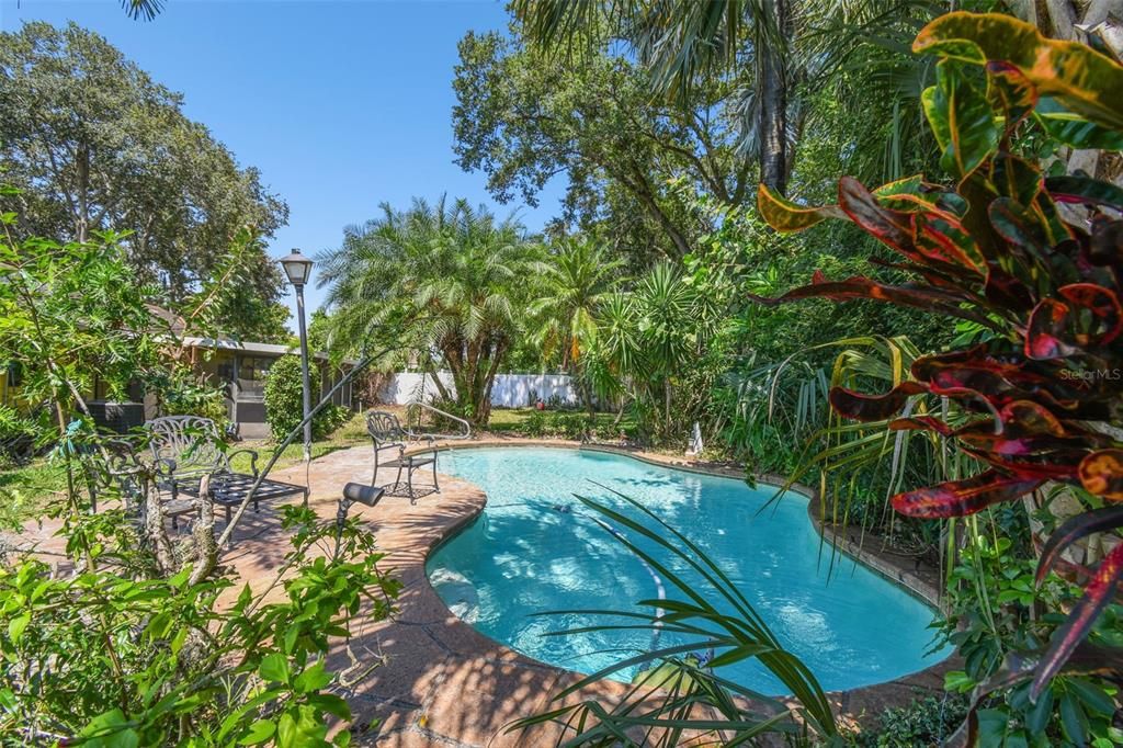 Colorful tropical landscaping surrounds the pool and there's plenty of space for sunning