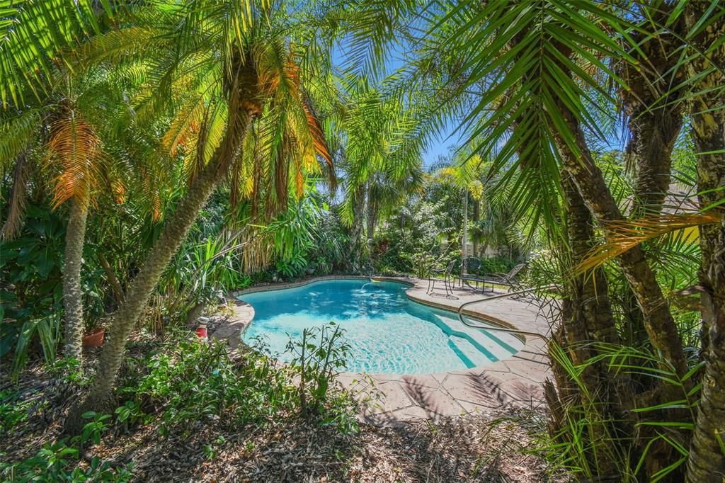 Gorgeous solar heated saltwater pool is nestled among the palms